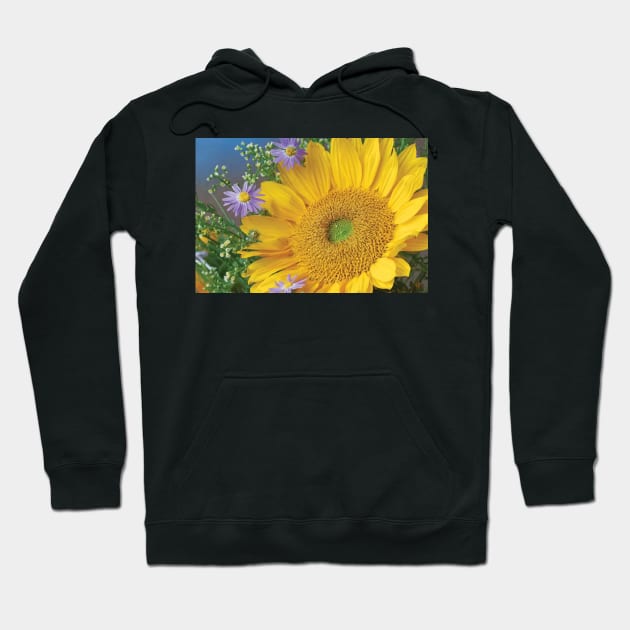 Common Sunflower And Asters North America I Hoodie by RhysDawson